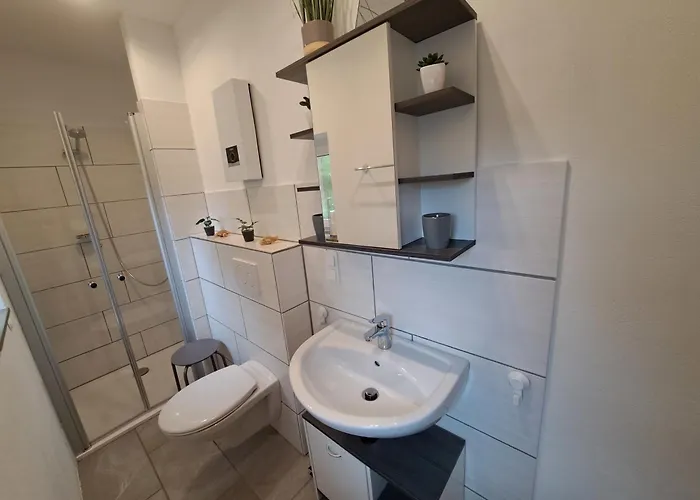 Haus Romy 度假居 *